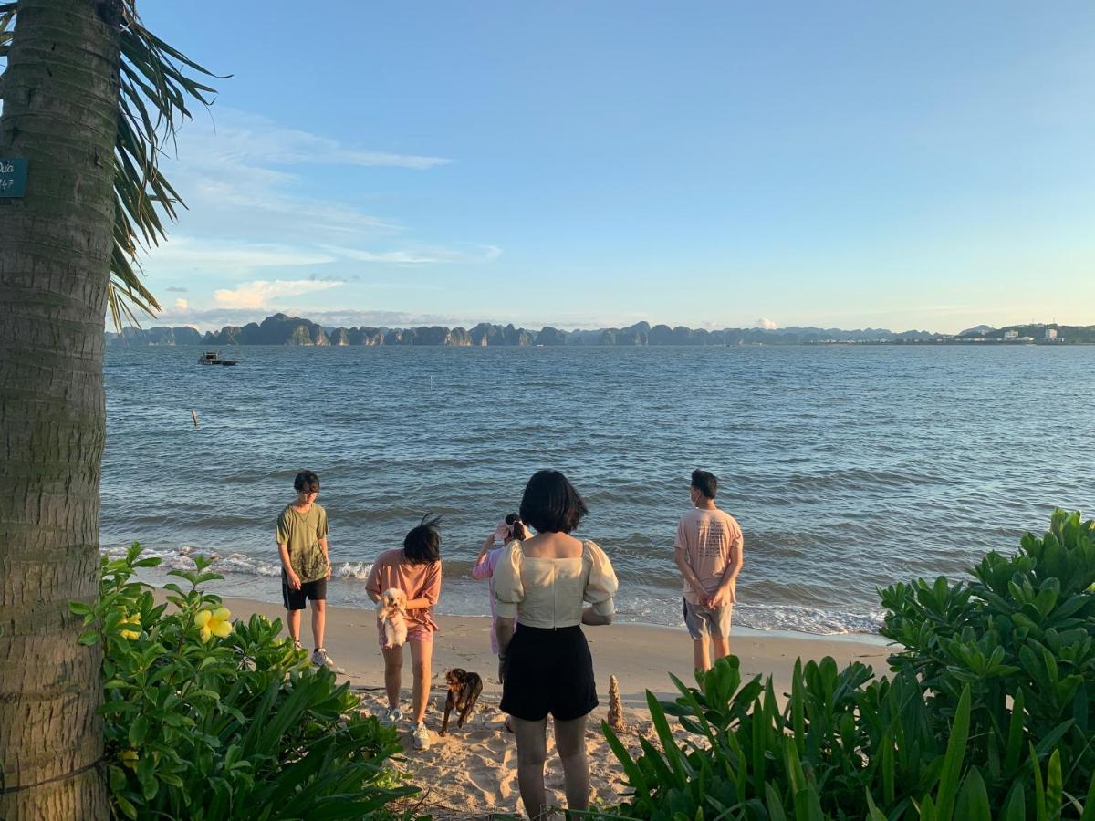 Tulip Homestay Ha Long Eksteriør bilde